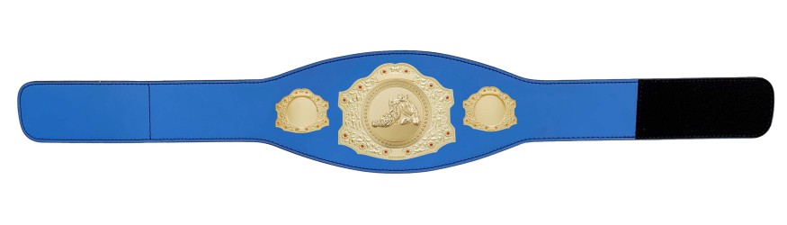 GOLD CHAMPIONSHIP BELT - XXLMIDI/G/JIUJITSU/G - AVAILABLE IN 4 LEATHER COLOURS GOLD CHAMPIONSHIP BELT - XXLMIDI/G/JIUJITSU/G - AVAILABLE IN 4 LEATHER COLOURS